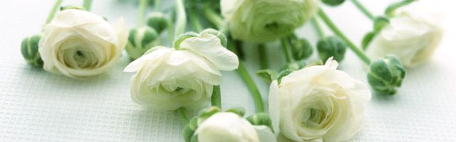 カタログでなく品物で